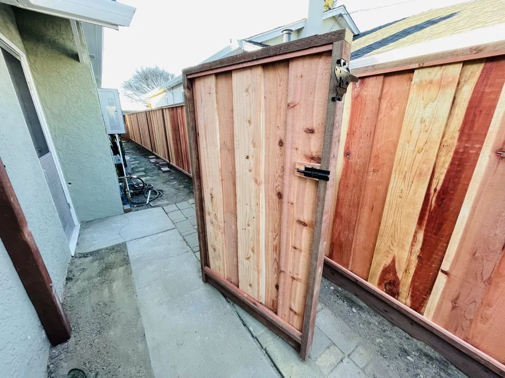 Local yard cleanup service for year-round maintenance across San Diego, CA - Yard Pro Design