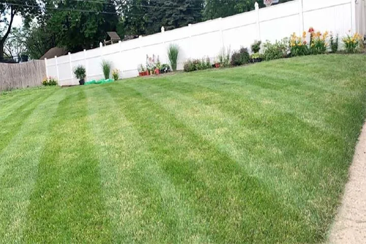Local yard maintenance in New Lenox, IL by Yard Pro Landscapes