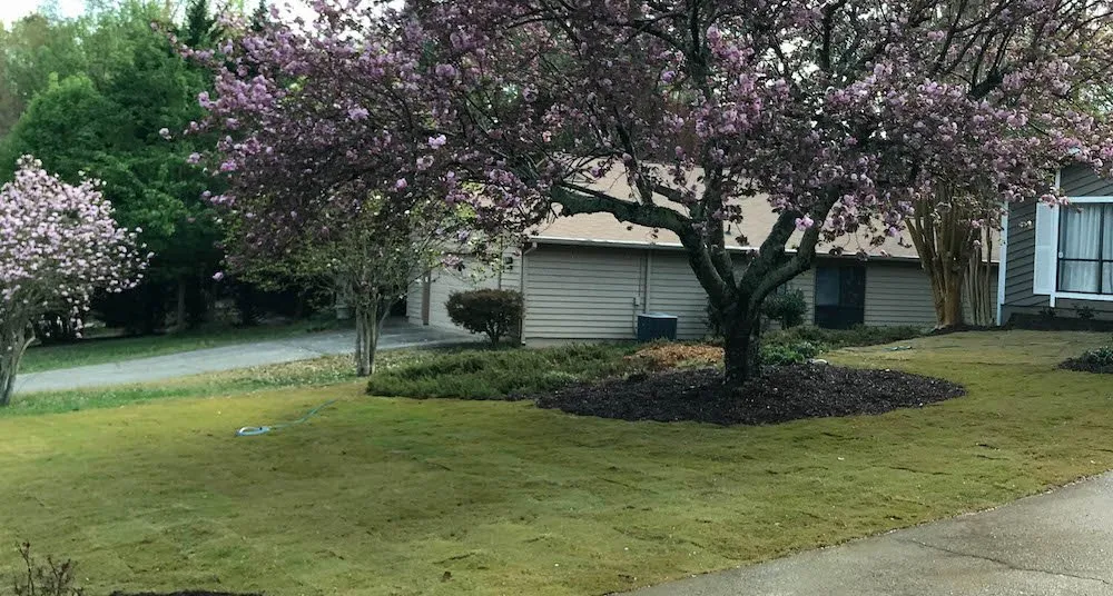 Top-rated landscape installation in Roswell, GA by Yard-Pro Landscaping