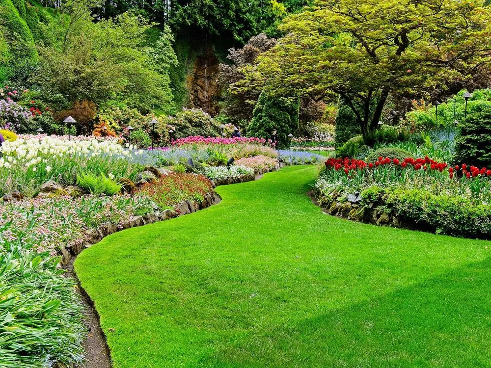 Top-rated lawn care service for outdoor upgrades across Diana, TX - Yard Pro Lawn Service