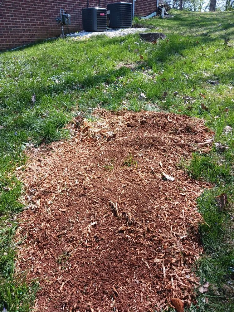 Custom yard maintenance in Loudon, TN - Yard Pro