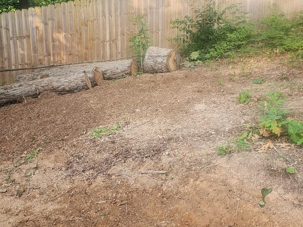 Local yard cleanup service in Loudon, TN - Yard Pro