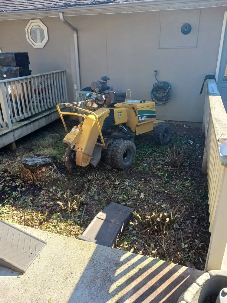 Local yard maintenance experts serving Loudon, TN - Yard Pro