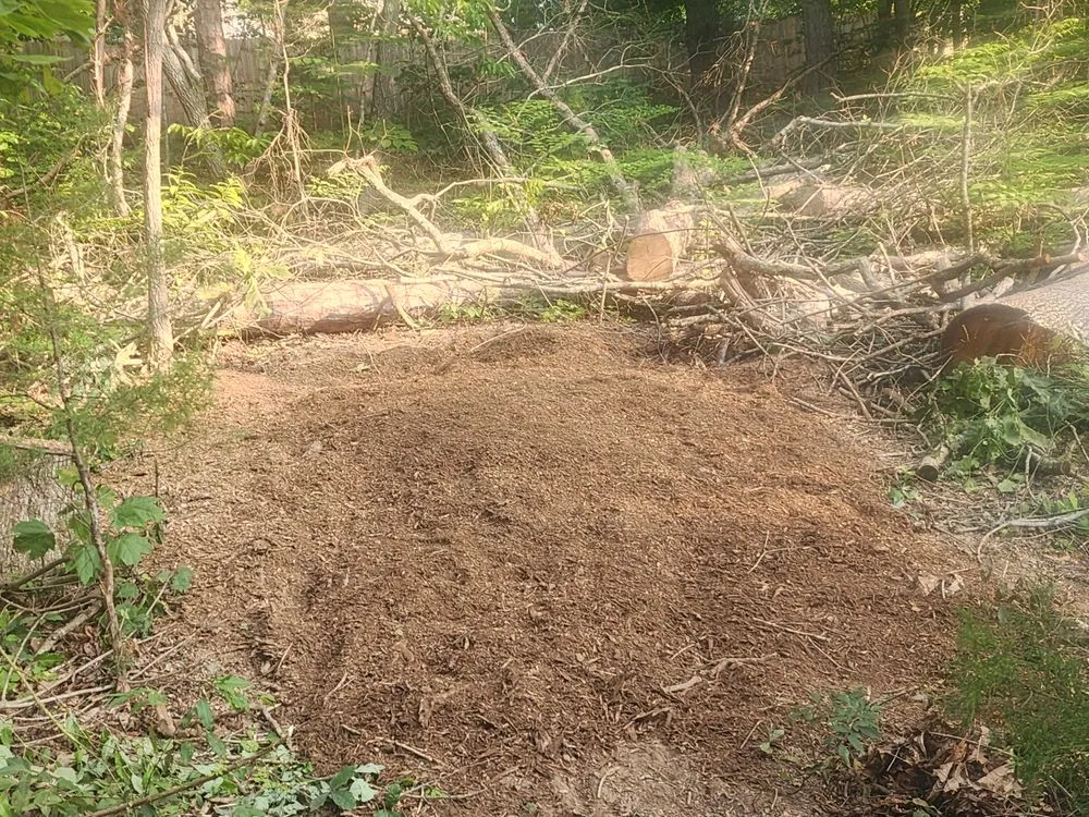 Reliable lawn care service in Loudon, TN by Yard Pro