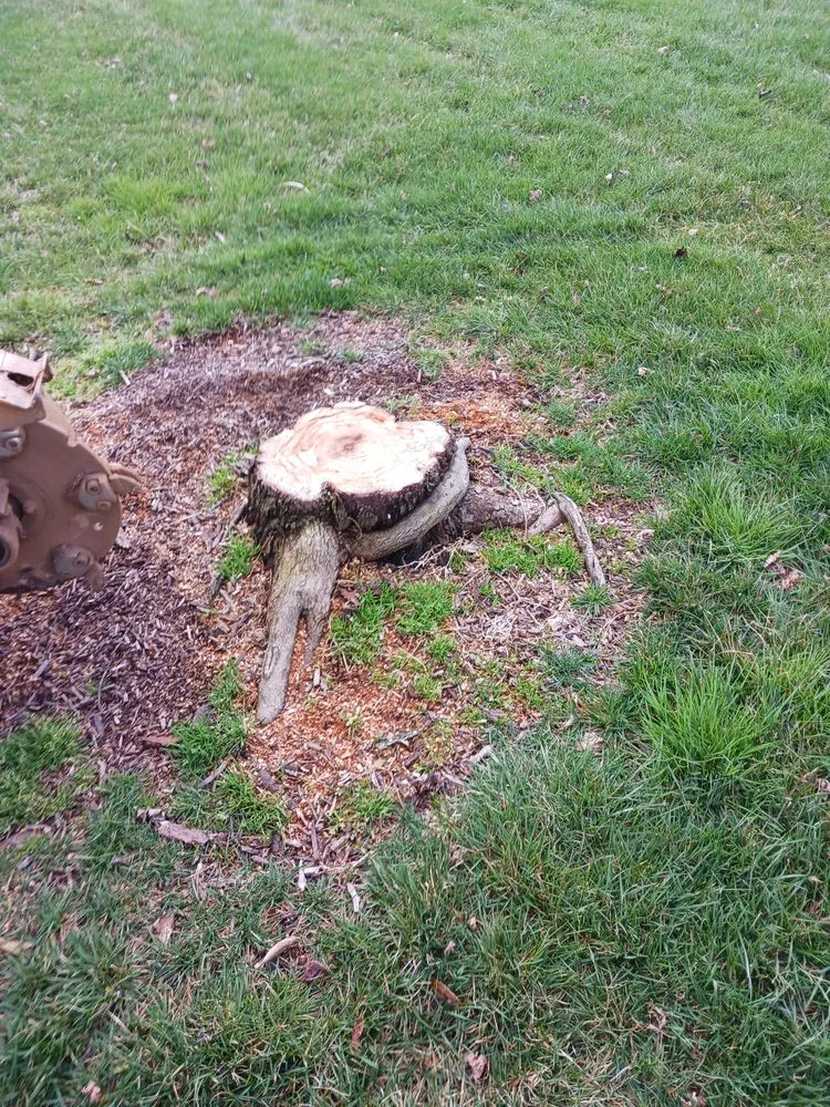 Custom landscape installation for beautiful yards in Loudon, TN by Yard Pro