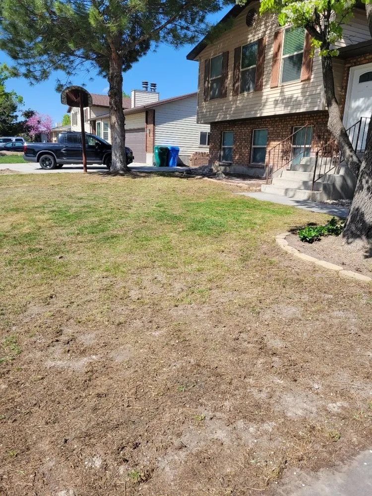 Custom lawn care service in Salt Lake City, UT by Yard Pro
