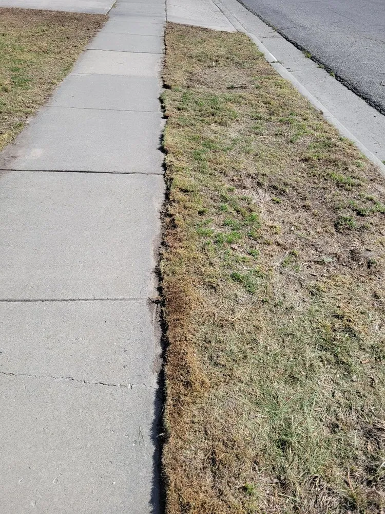 Expert residential landscaping in Salt Lake City, UT by Yard Pro