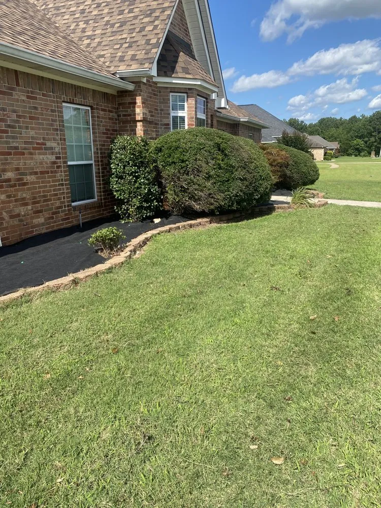 Expert yard maintenance in Texarkana, AR by Yard Pro