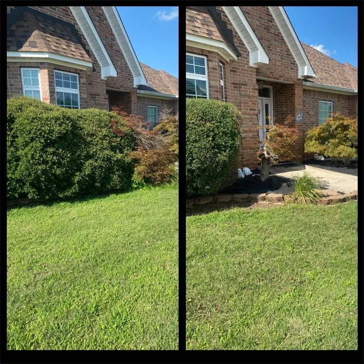 Affordable landscape design for beautiful yards in Texarkana, AR by Yard Pro