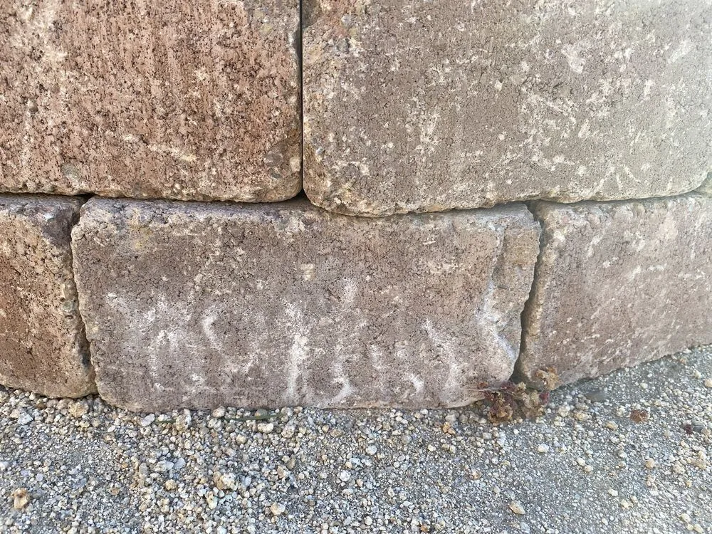 Professional landscape design in Manteca, CA by Yard Pros Landscaping