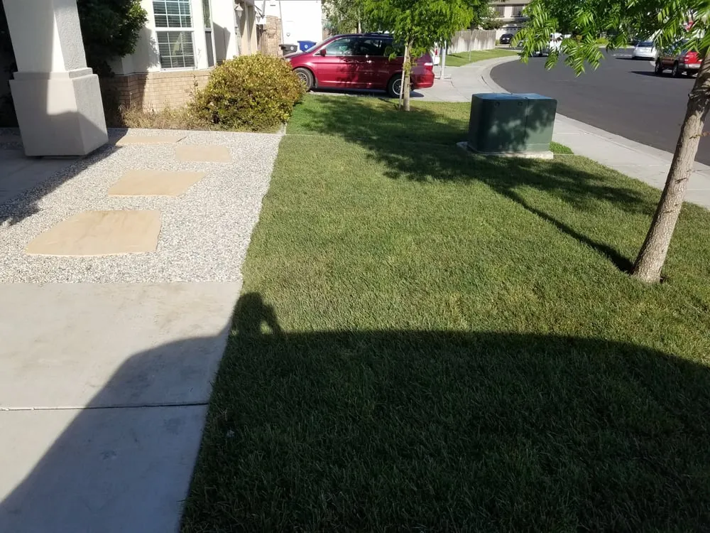 Local yard cleanup service in Manteca, CA - Yard Pros Landscaping