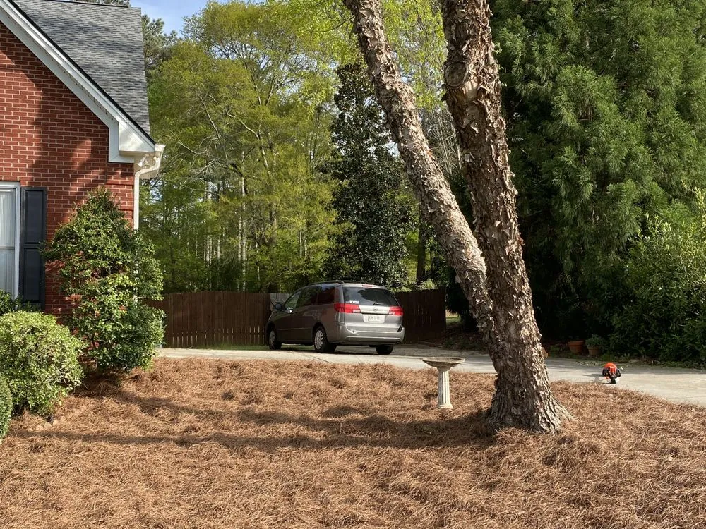 Trusted outdoor landscaping in Loganville, GA - Yard Pros Lawn Care