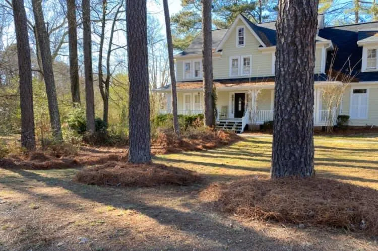 Top-rated outdoor landscaping in Loganville, GA by Yard Pros Lawn Care