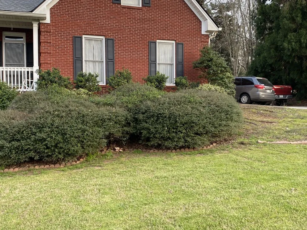 Affordable lawn care service with custom design in Loganville, GA by Yard Pros Lawn Care