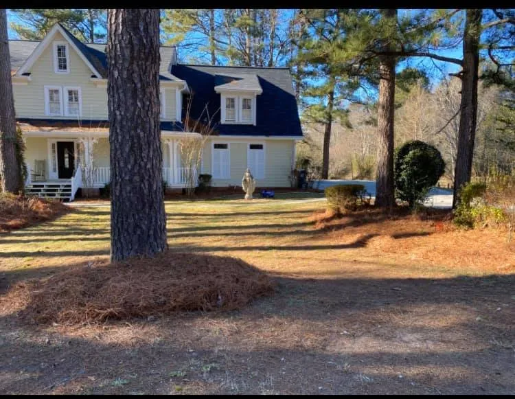 Reliable yard cleanup service in Loganville, GA - Yard Pros Lawn Care