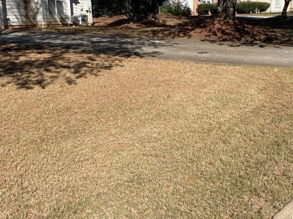 Local yard maintenance for residential properties in Loganville, GA by Yard Pros Lawn Care