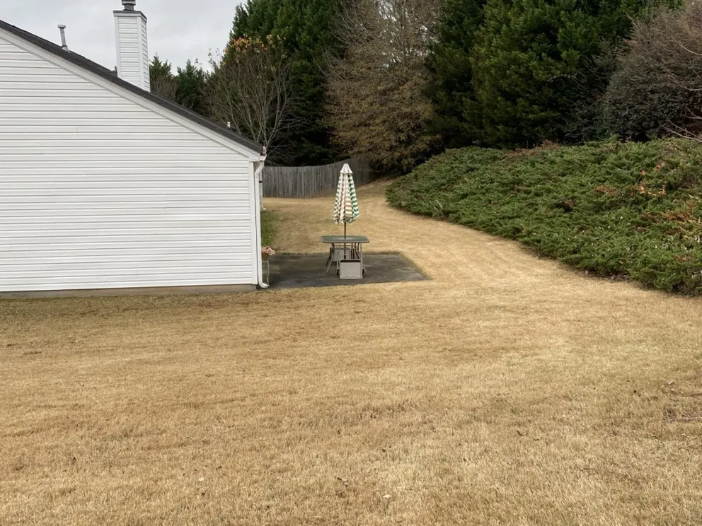 Reliable lawn care service experts serving Loganville, GA - Yard Pros Lawn Care