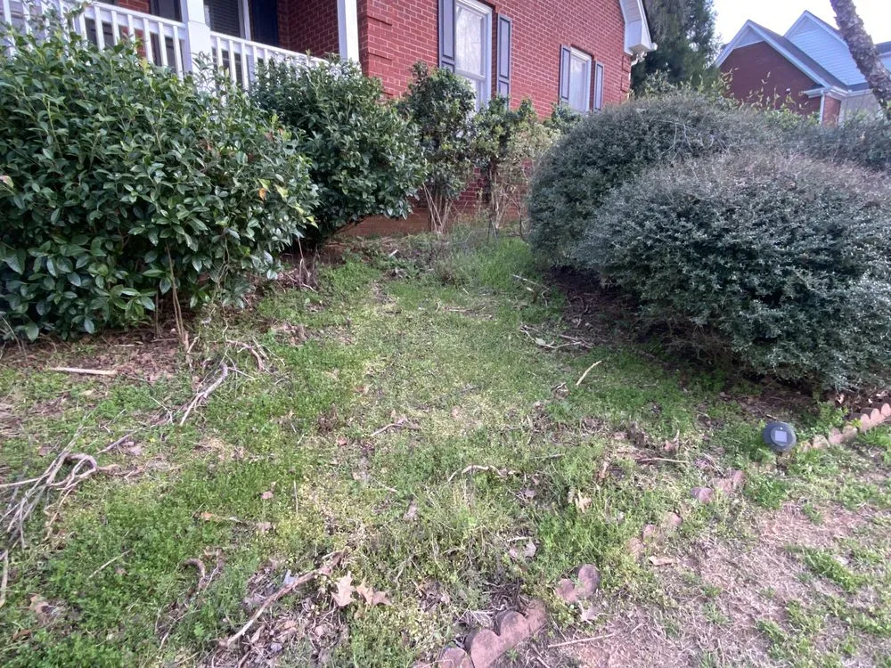 Custom landscaping services in Loganville, GA by Yard Pros Lawn Care