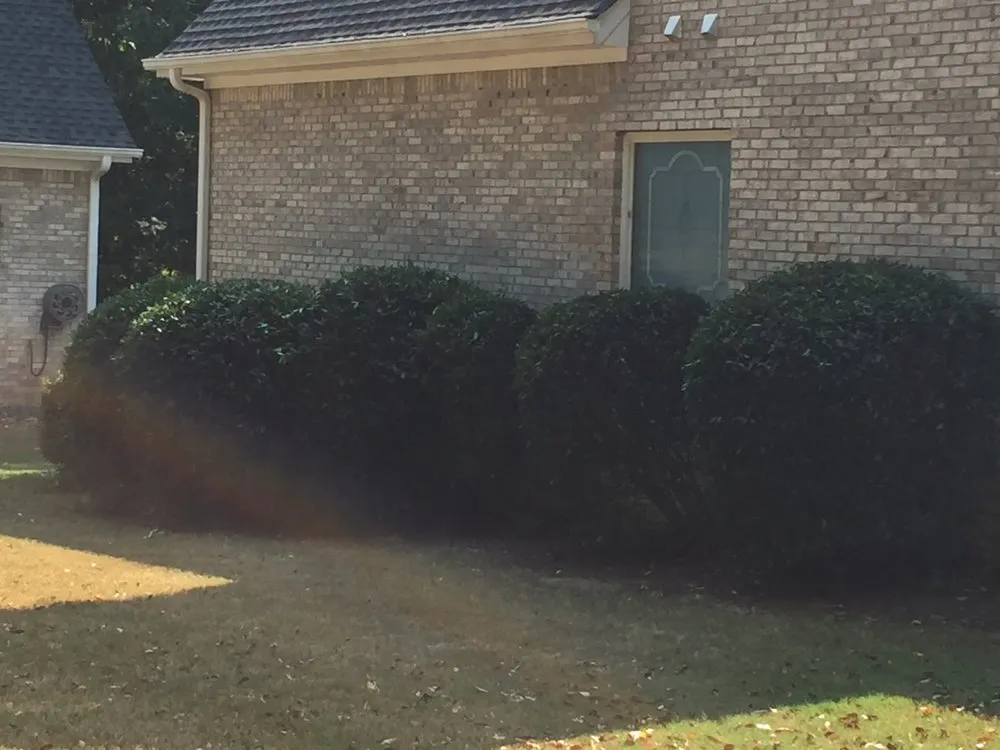 Trusted landscape design for outdoor upgrades in Loganville, GA by Yard Pros Lawn Care