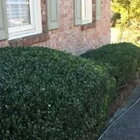 Custom lawn care service in Loganville, GA - Yard Pros Lawn Care