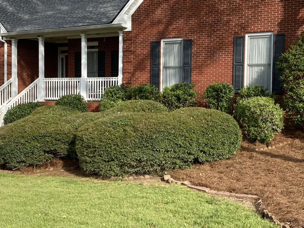 Reliable landscape design in Loganville, GA - Yard Pros Lawn Care
