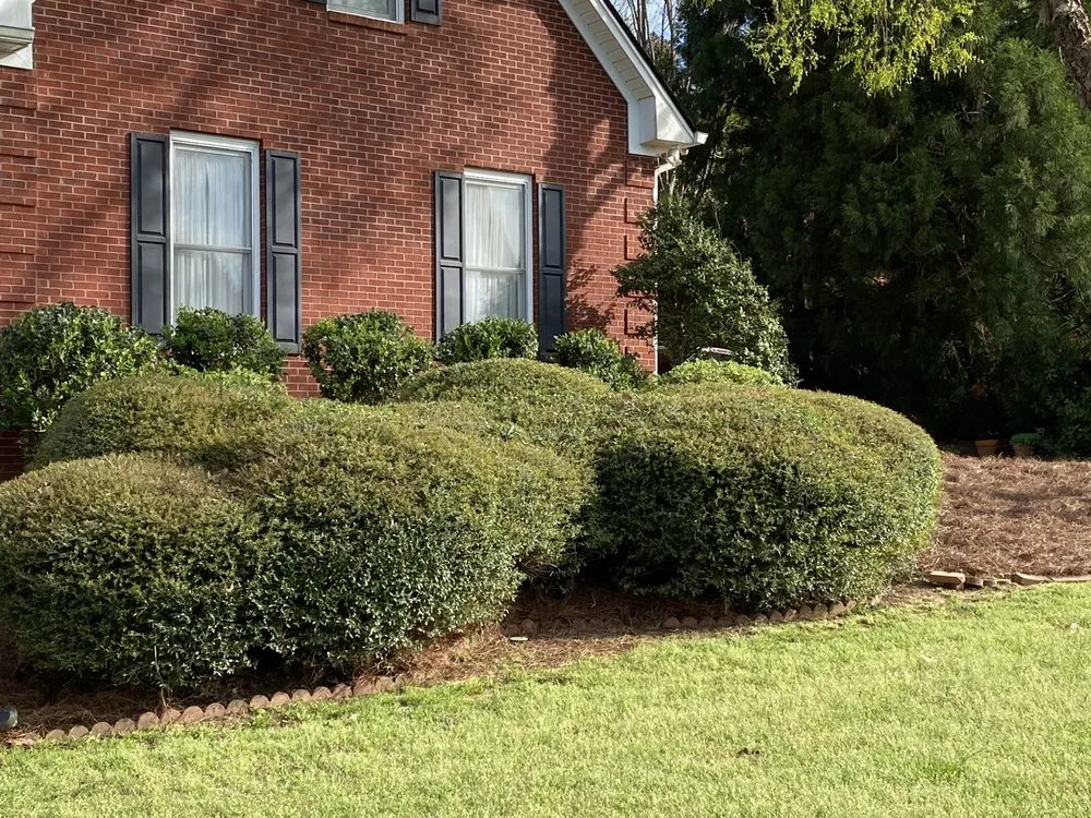 Affordable lawn care service in Loganville, GA by Yard Pros Lawn Care