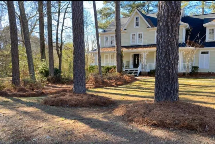 Trusted landscape design for homes in Loganville, GA by Yard Pros Lawn Care