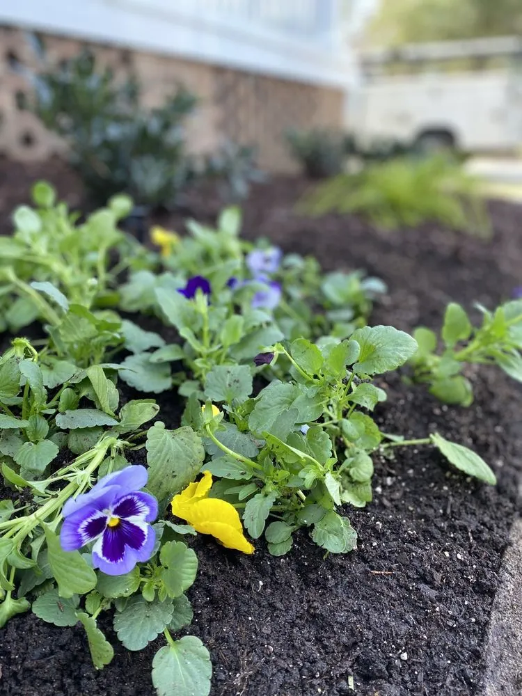 Reliable yard maintenance for homes across Columbia, SC - Yard Rehab By Oasis