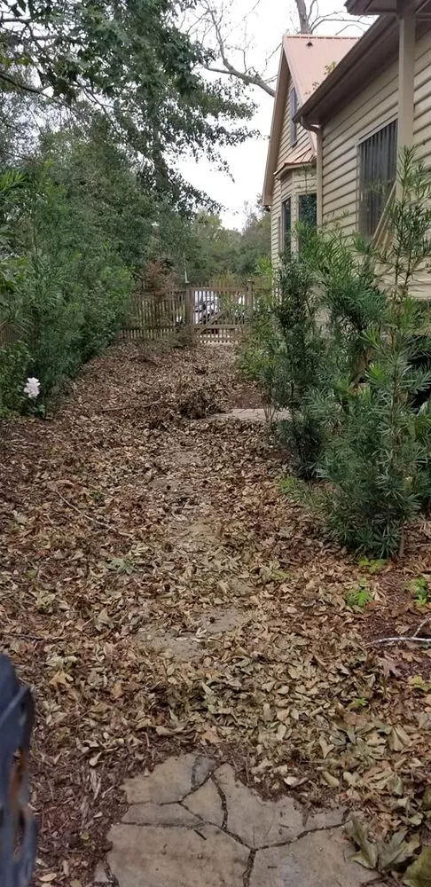 Custom yard cleanup service in Leland, NC by Yard Runners