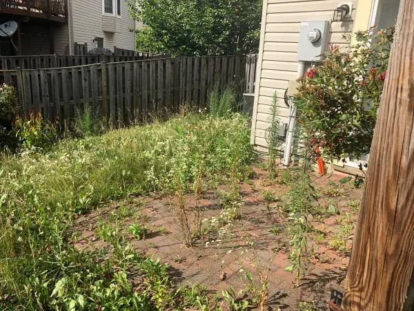 Affordable outdoor landscaping in Leland, NC by Yard Runners