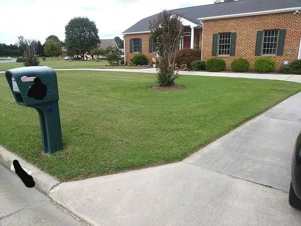 Custom yard maintenance experts serving Leland, NC - Yard Runners