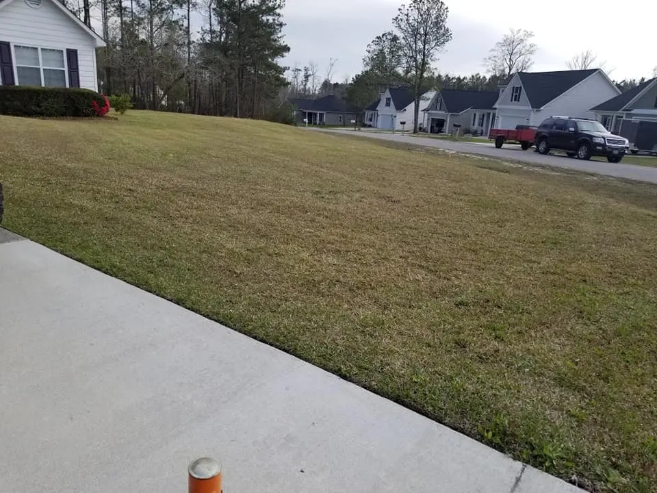 Top-rated lawn care service for year-round maintenance in Leland, NC by Yard Runners