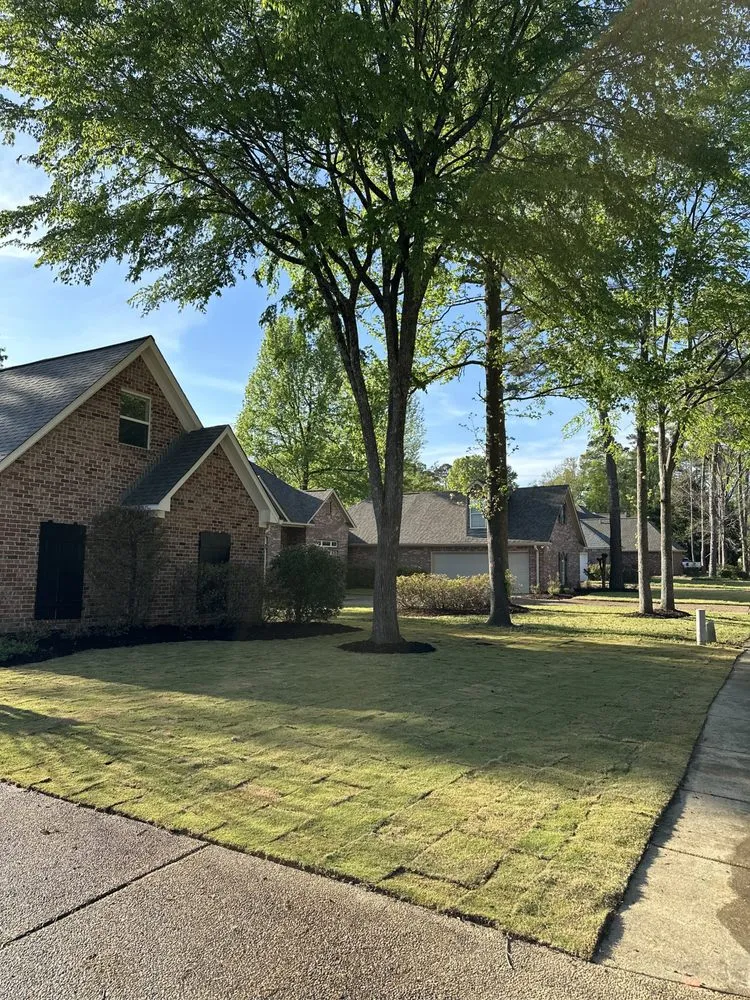 Reliable lawn mowing service in Madison, MS - Yard Sarge