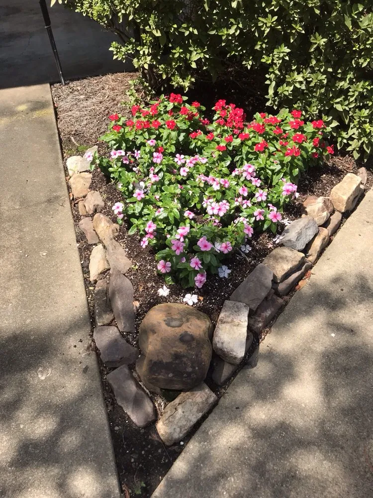 Affordable lawn mowing service for outdoor upgrades across Madison, MS - Yard Sarge