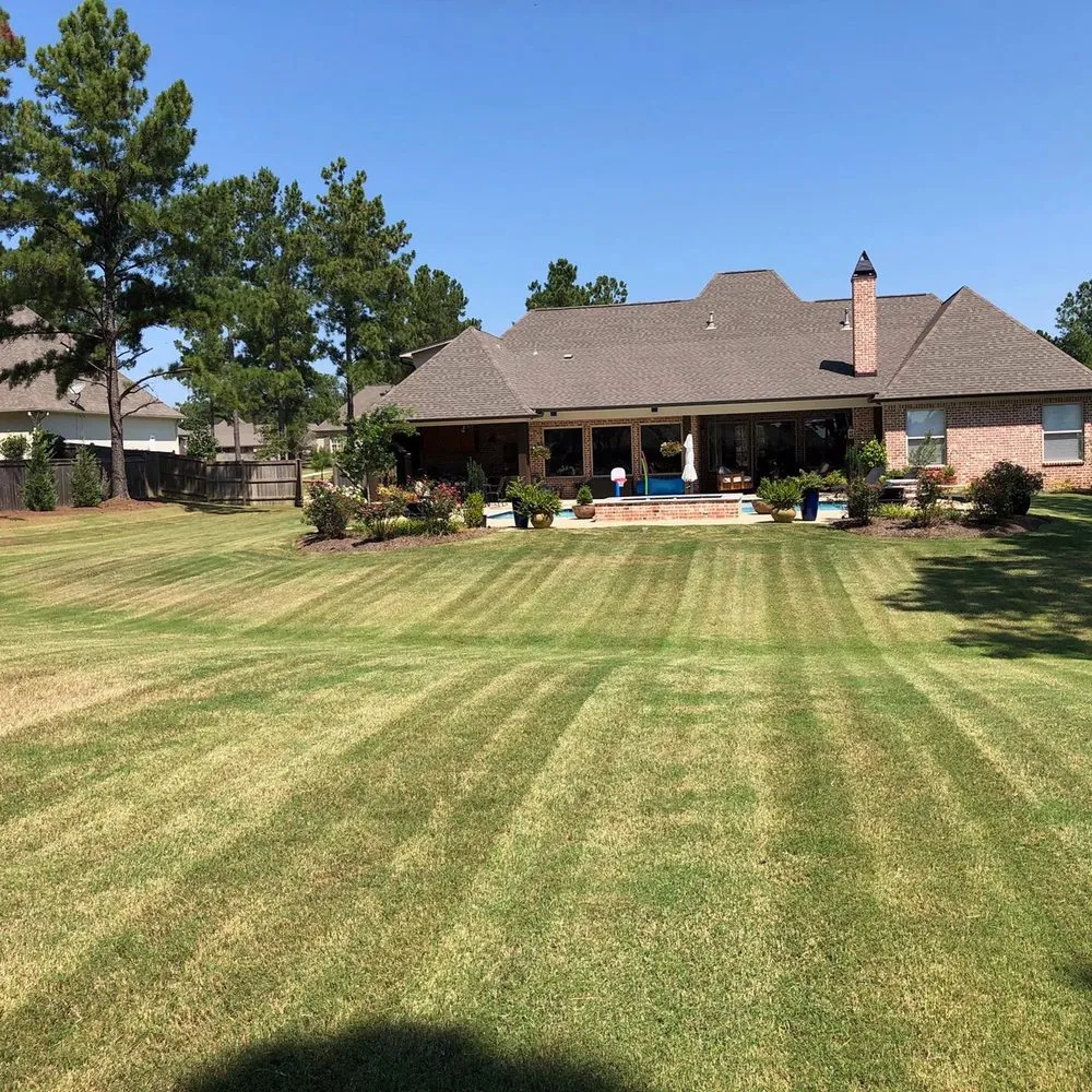 Expert yard cleanup service for outdoor upgrades across Madison, MS - Yard Sarge