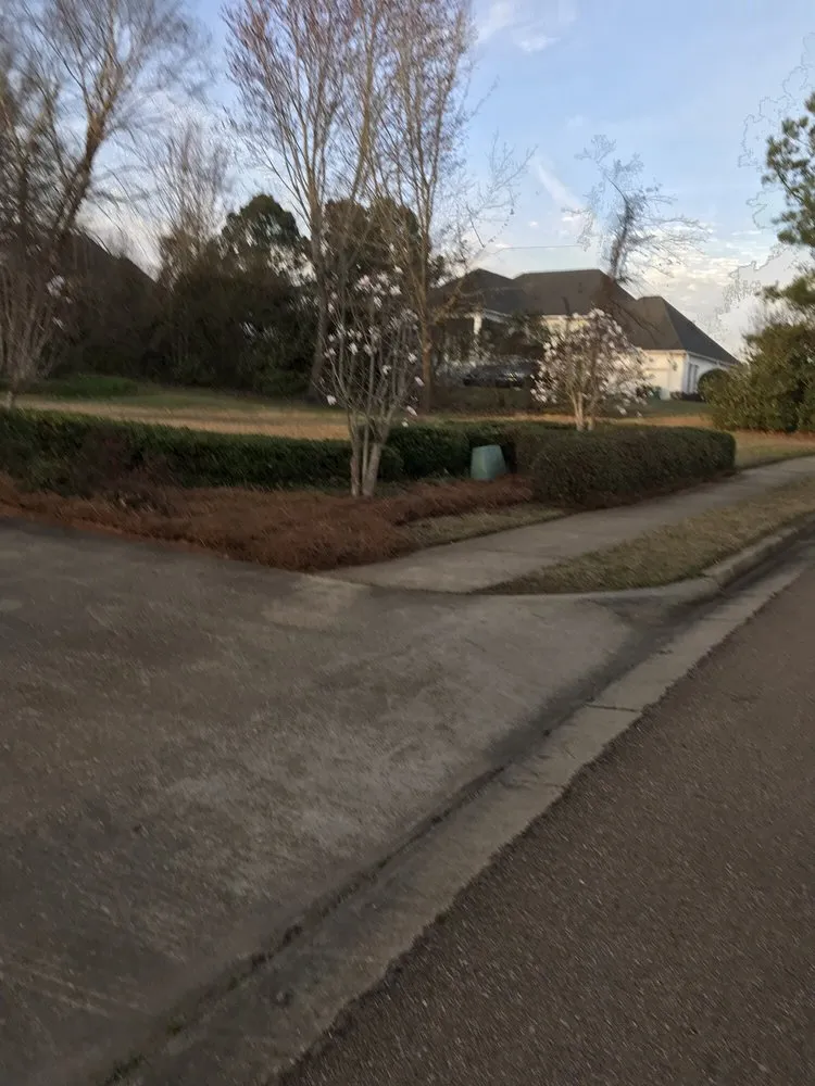 Expert yard cleanup service in Madison, MS - Yard Sarge