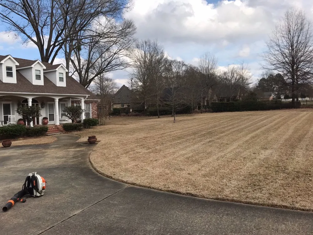 Top-rated yard maintenance experts serving Madison, MS - Yard Sarge