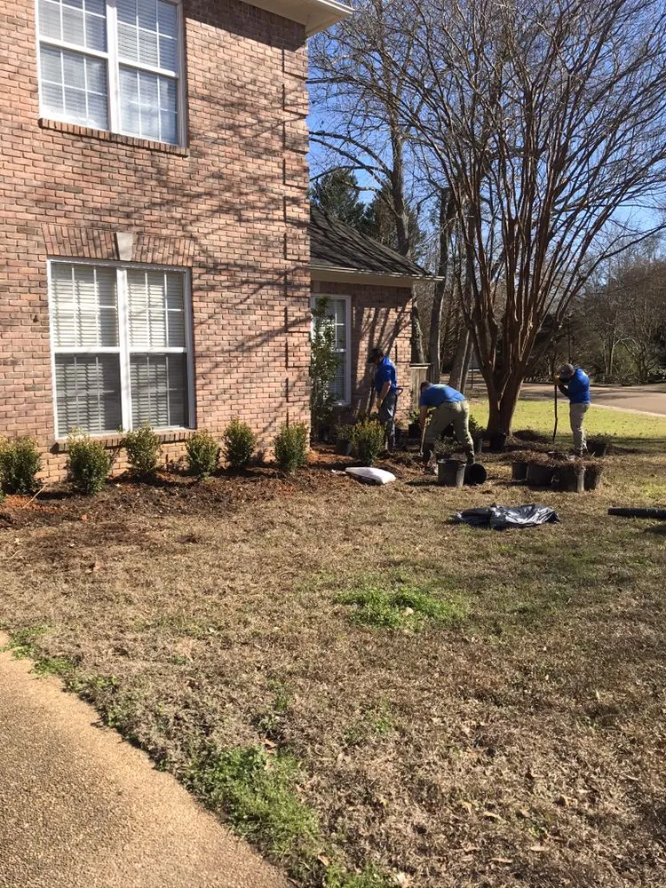 Trusted residential landscaping experts serving Madison, MS - Yard Sarge