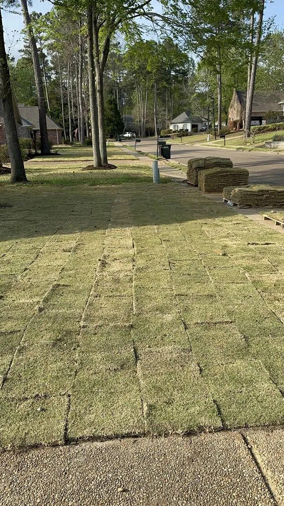 Custom yard maintenance for year-round maintenance in Madison, MS by Yard Sarge