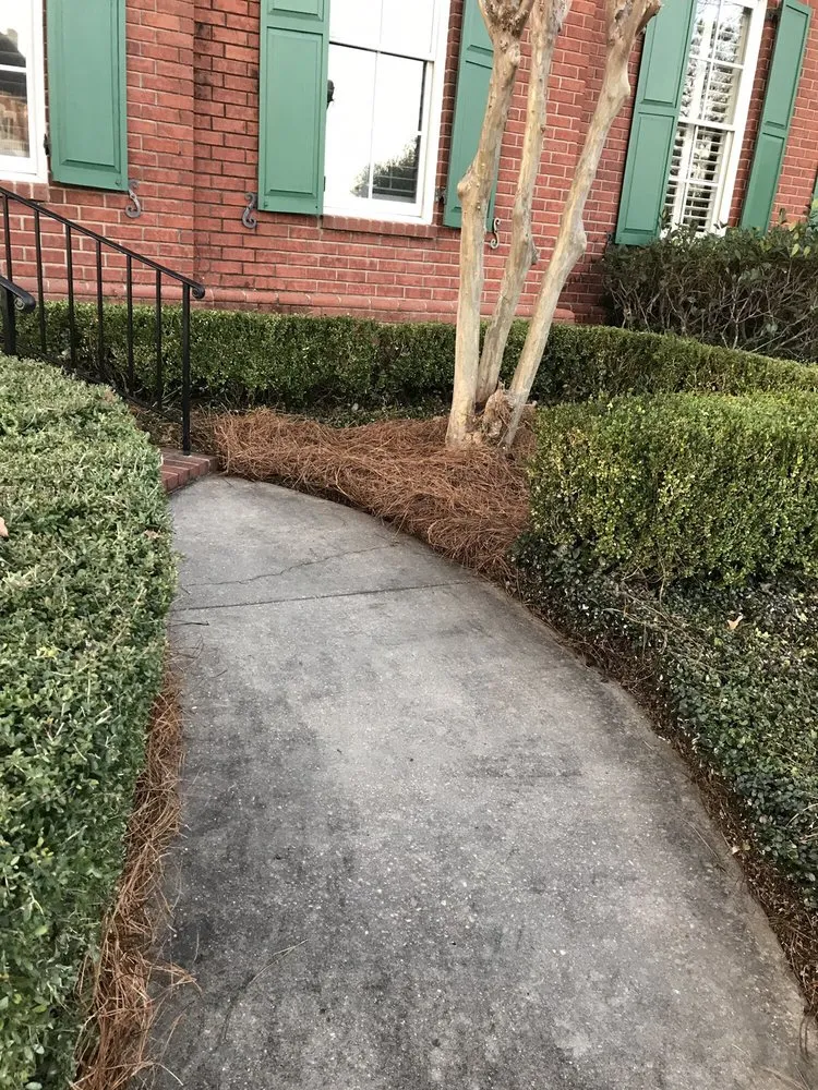 Top-rated landscape installation in Madison, MS - Yard Sarge