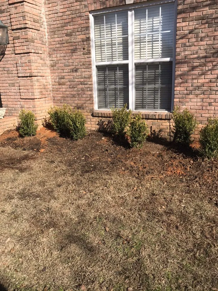 Affordable outdoor landscaping for beautiful yards across Madison, MS - Yard Sarge