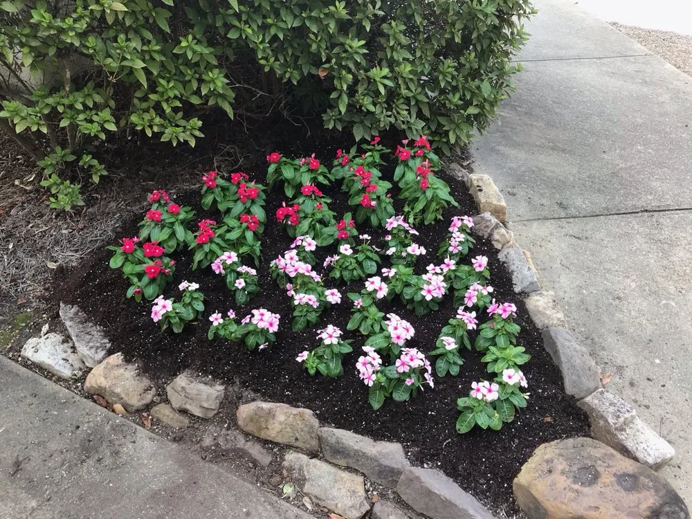 Reliable yard maintenance for residential properties in Madison, MS by Yard Sarge