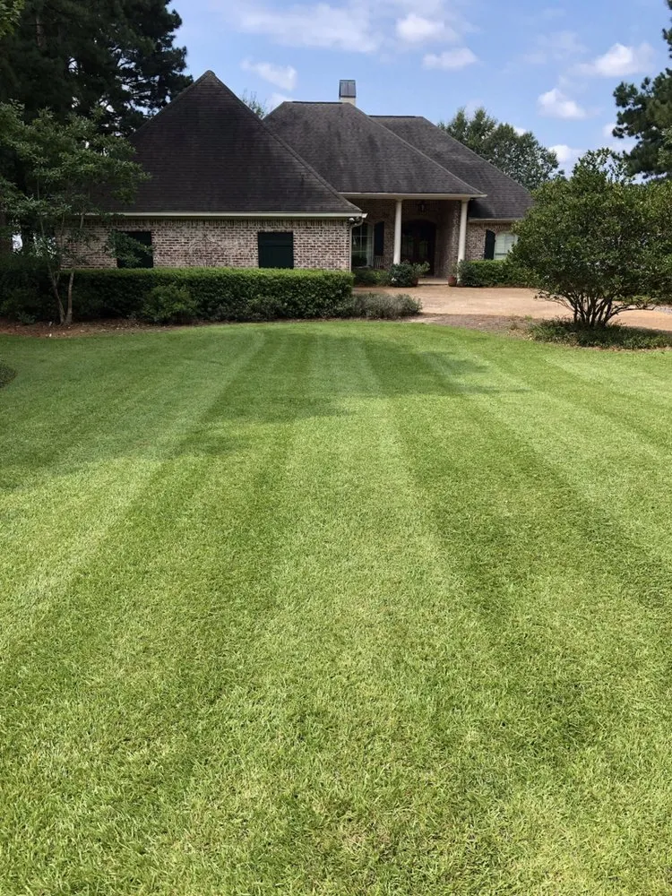 Trusted landscape installation in Madison, MS - Yard Sarge