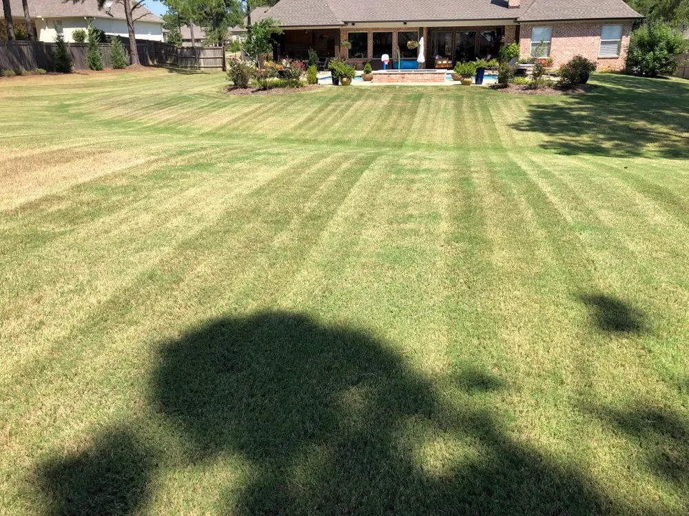 Local landscaping services in Madison, MS - Yard Sarge