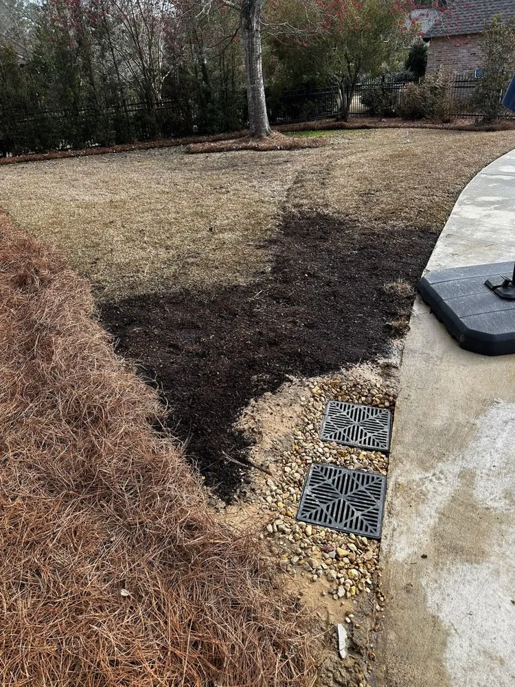 Local landscape design experts serving Madison, MS - Yard Sarge