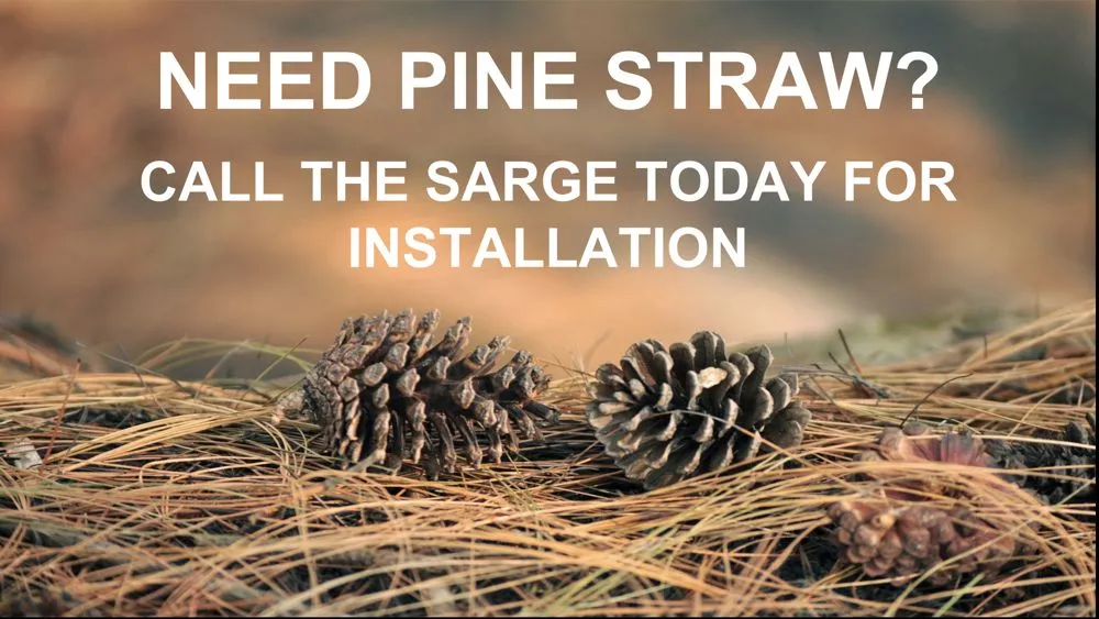 Affordable yard maintenance with custom design across Madison, MS - Yard Sarge