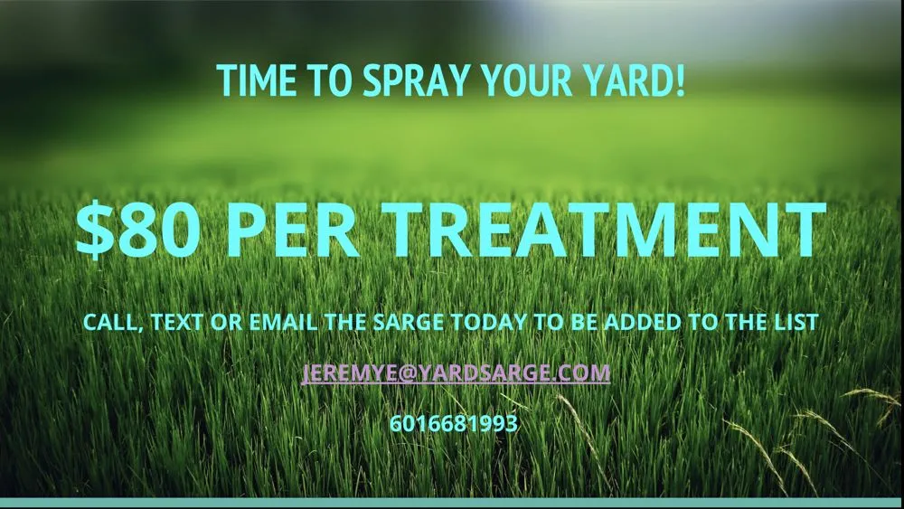Trusted yard cleanup service in Madison, MS - Yard Sarge