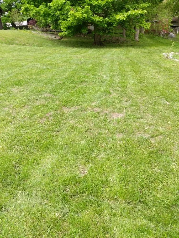 Professional landscape design in Silver Lake, IN by Yard Servants