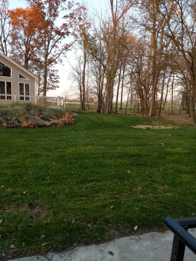 Affordable yard cleanup service experts serving Silver Lake, IN - Yard Servants