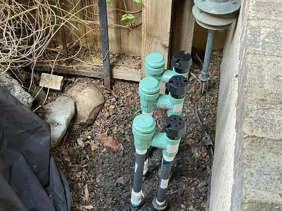 Reliable yard maintenance experts serving Woodland, CA - Yard Service & Landscaping